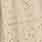 BRODERIE ANGLAISE BEURRE | 4357