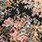 VINTAGE GARDEN | 5251