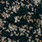 ORANE NOIRE | 6802